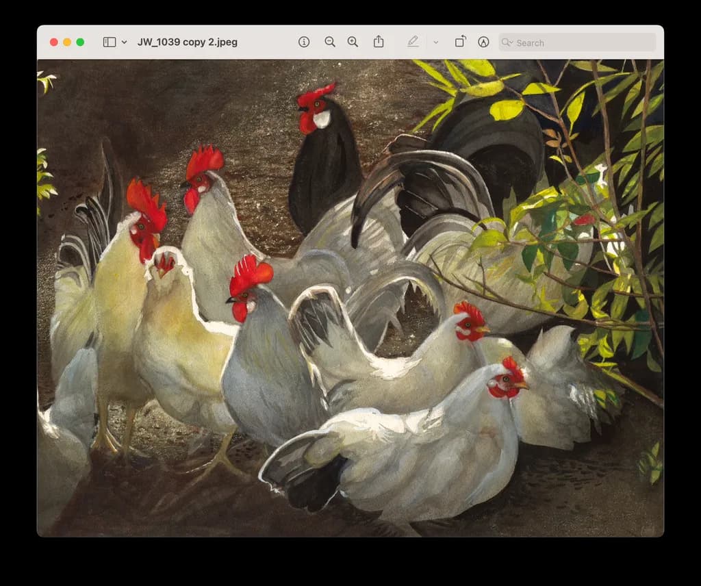Bantams Gathering