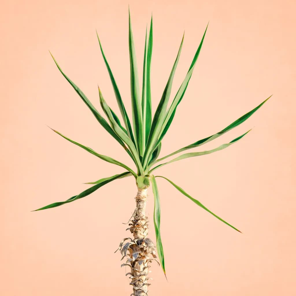 Whispers of Resilience: A Study of Nature's Elegance Against a Soft Canvas