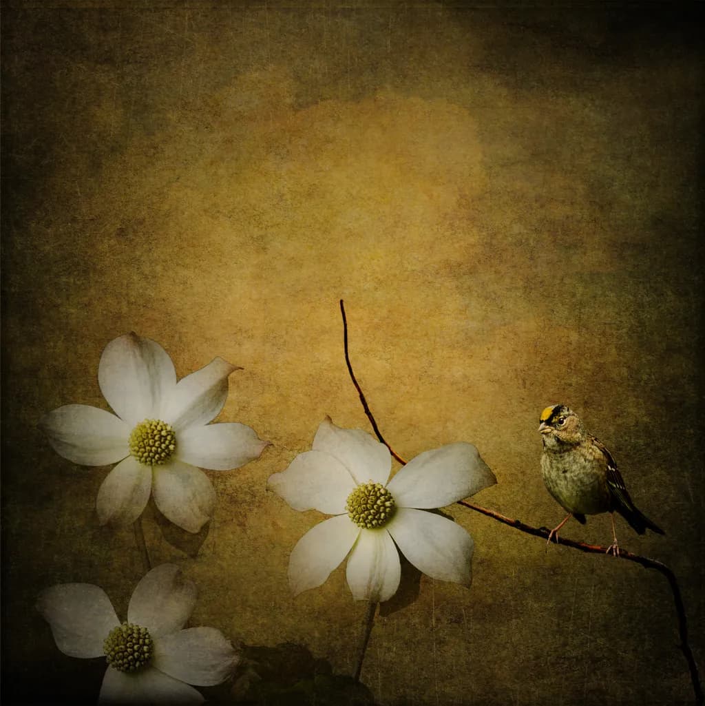 A Moment to Remain