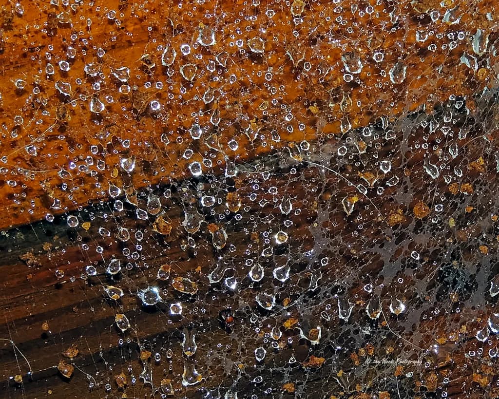 Raindrop Symphony