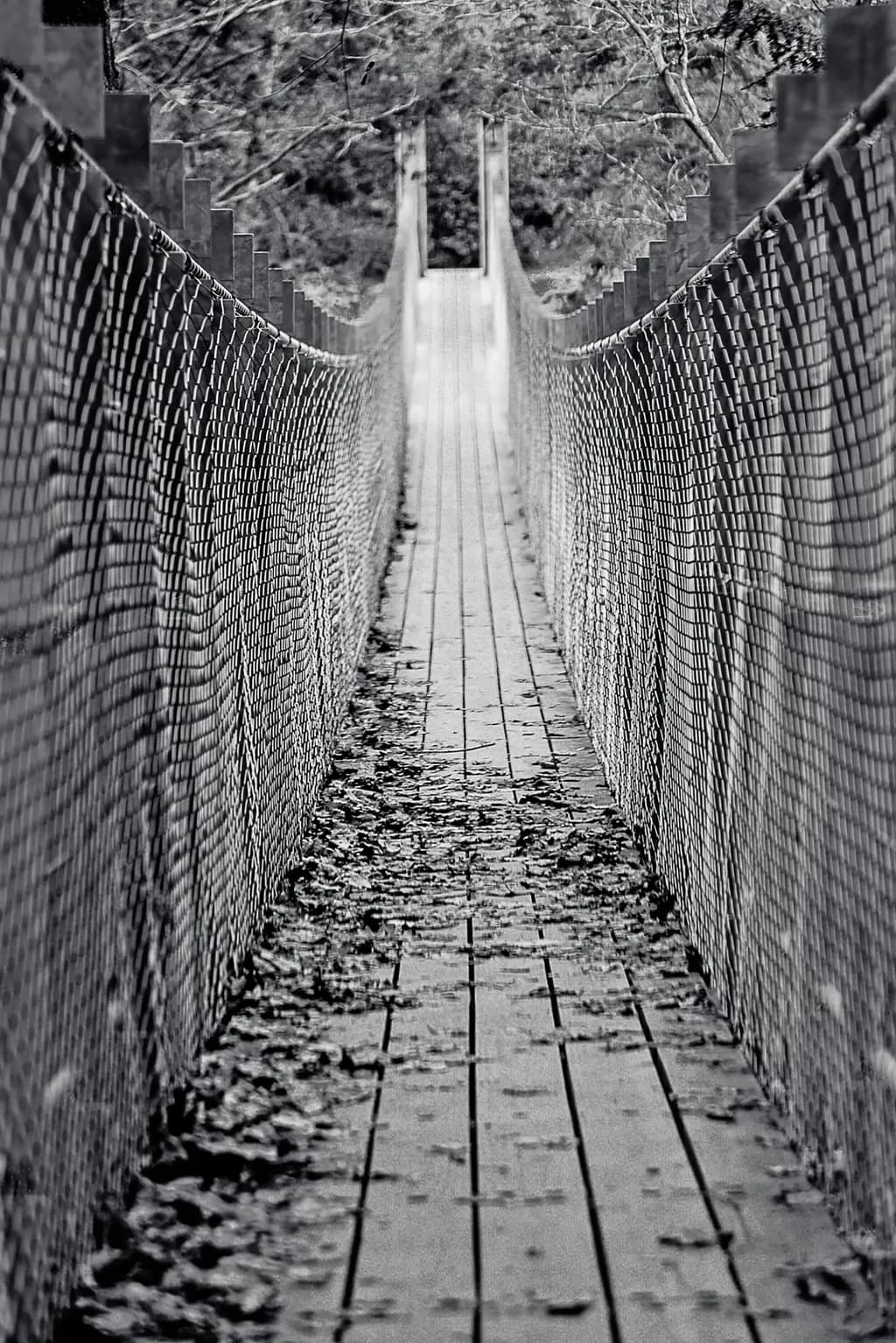 Piney Falls Bridge