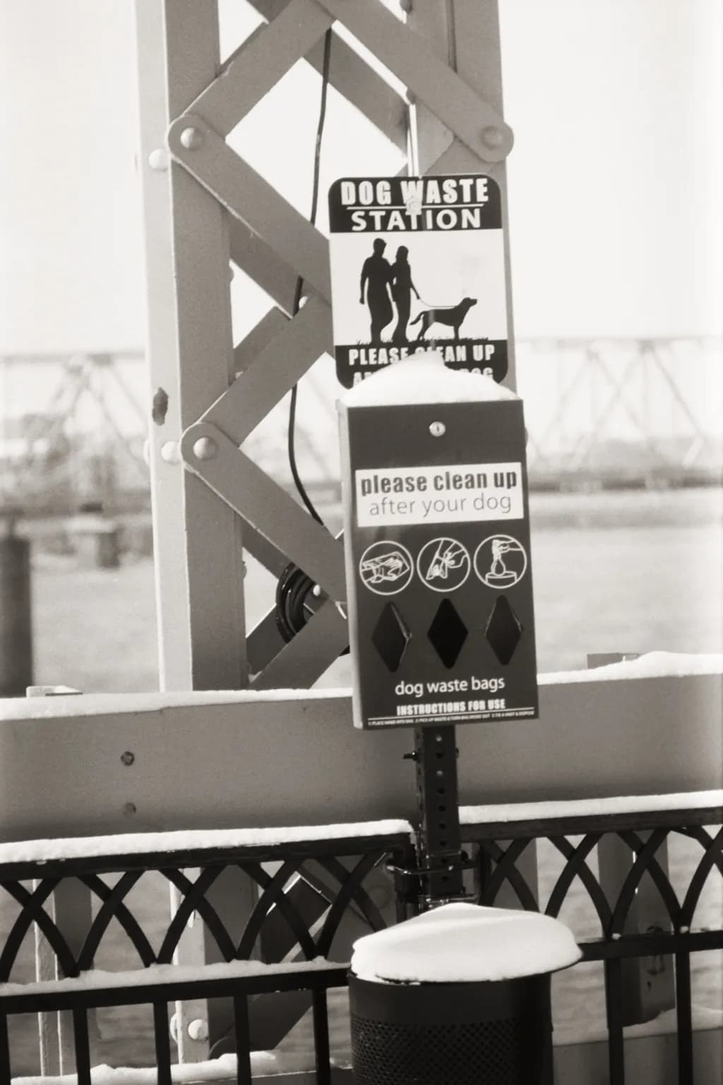Urban Canine Etiquette