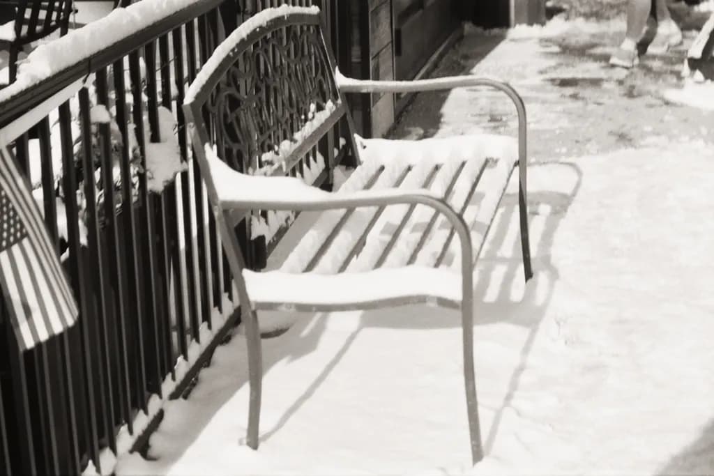 In the Embrace of Winter