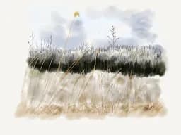 Winter Grasses