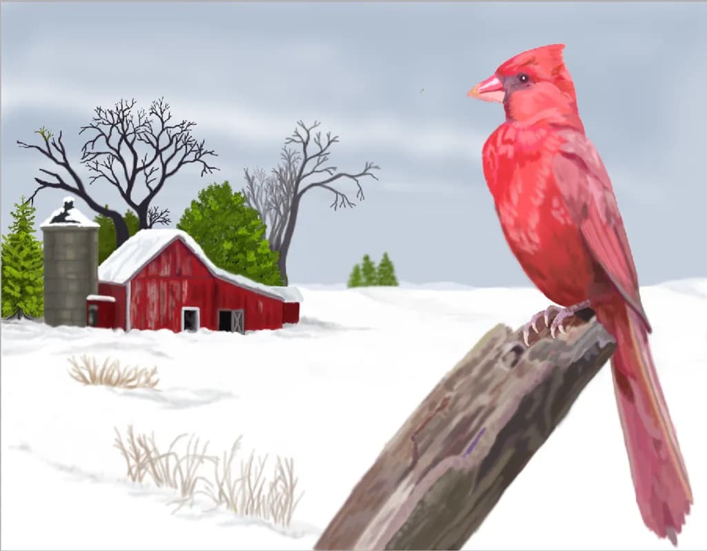 Cardinal in Winter