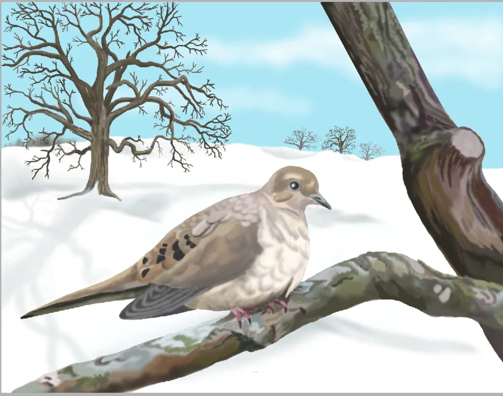 Winter's Perch