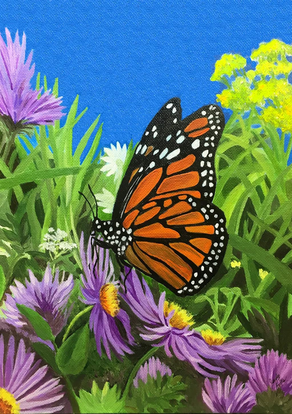 Monarch on Asters