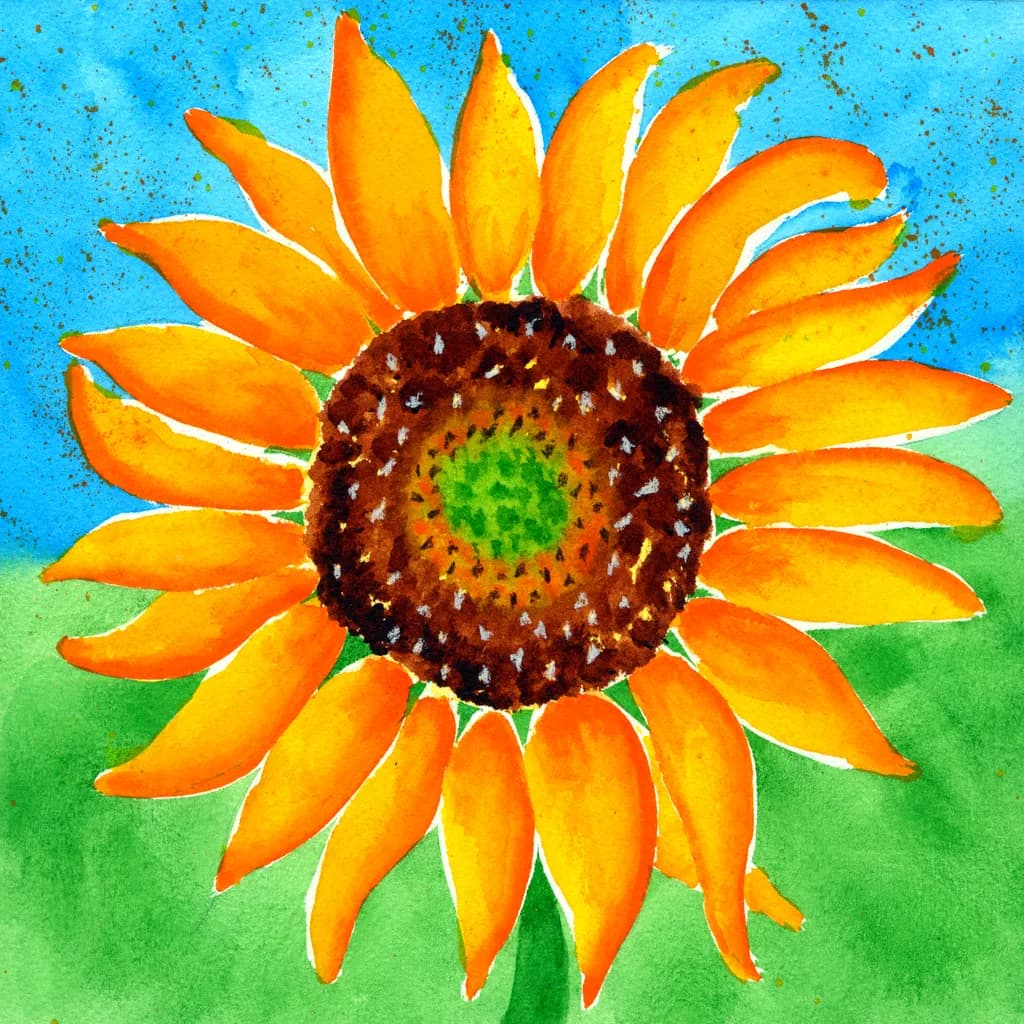 SUNFLOWER SPLENDOR