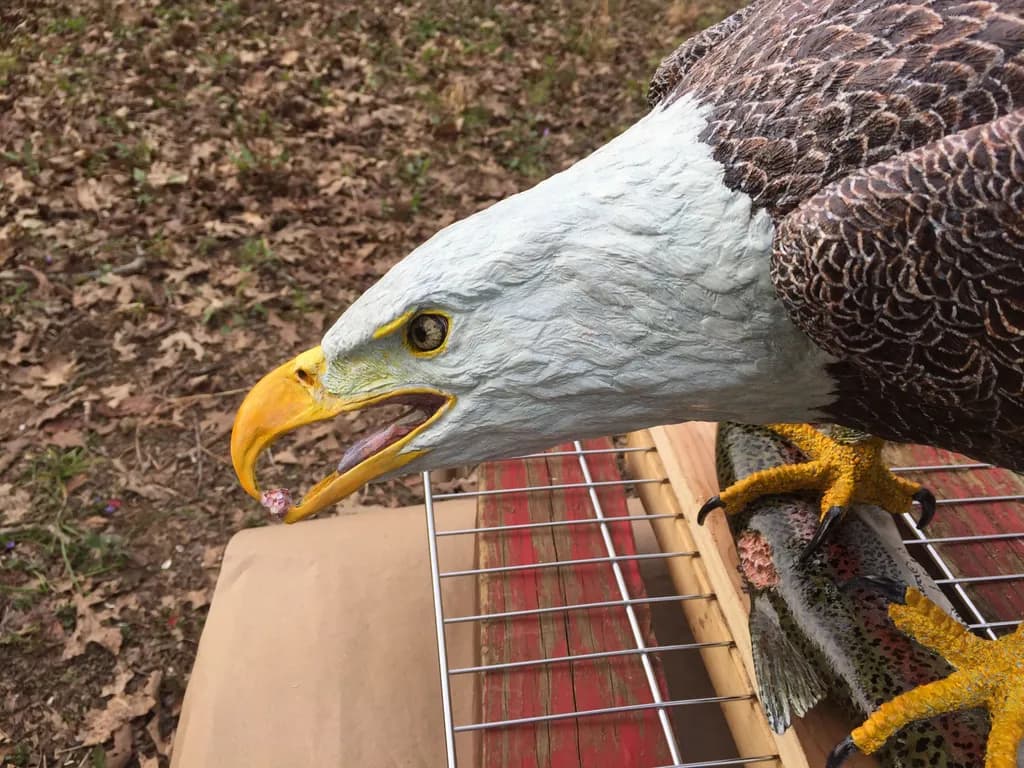 Majestic Predator: A Detailed Sculpture of an Eagle in Nature's Embrace