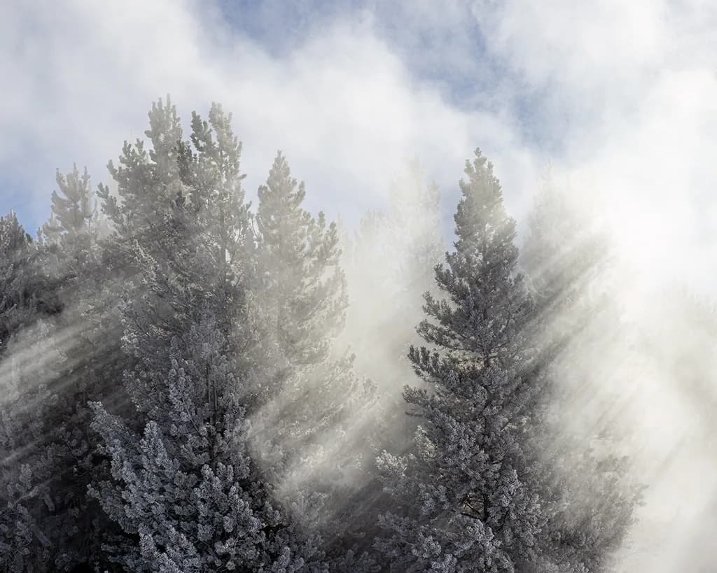 Ethereal Light