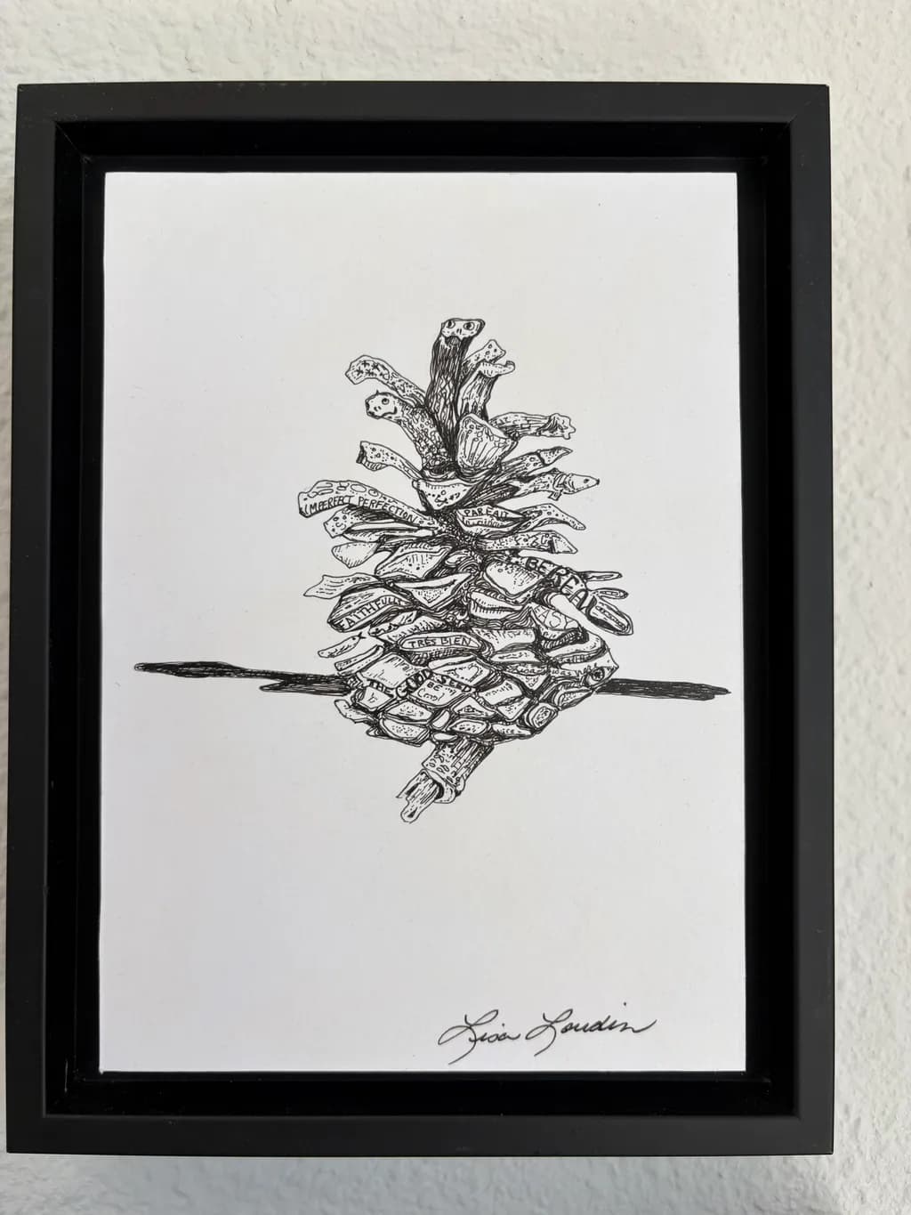Pine Cone Sketch