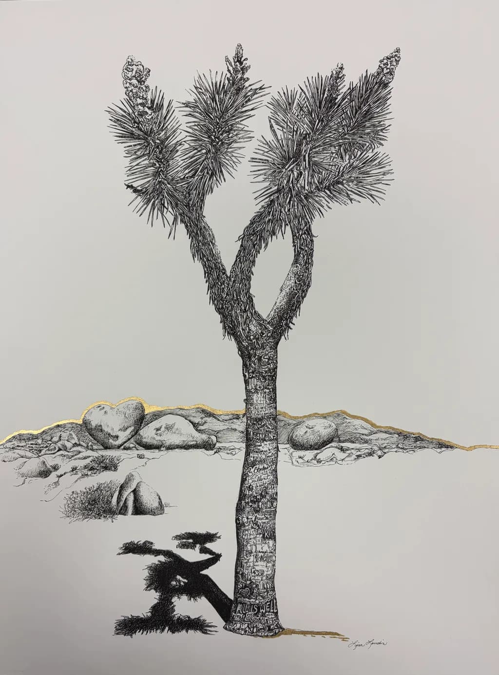 Joshua Tree Shadow