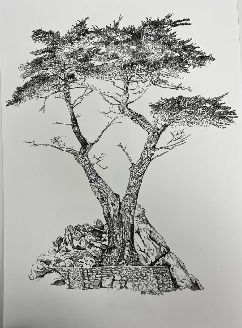 Rooted Resilience