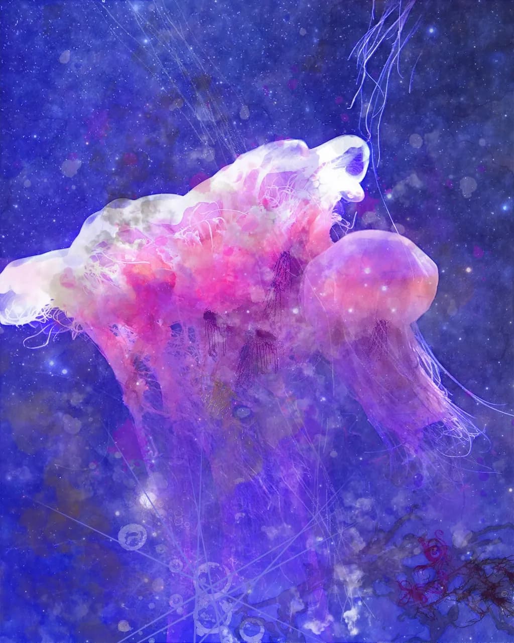 Cosmic Jellyfish