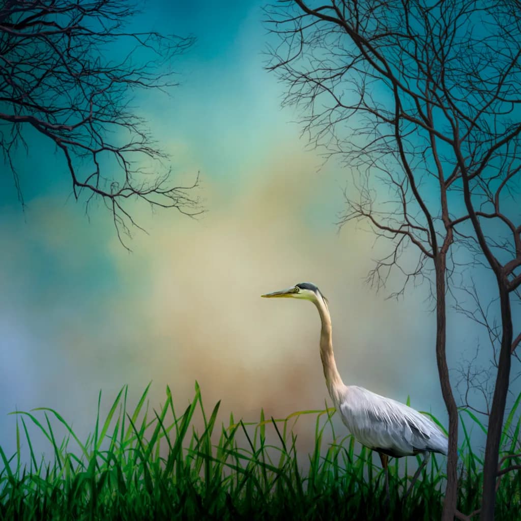 Stillness Between Branches