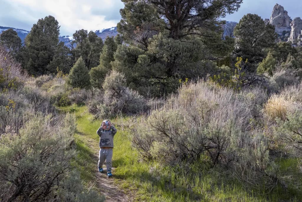 Castle Rock Adventure