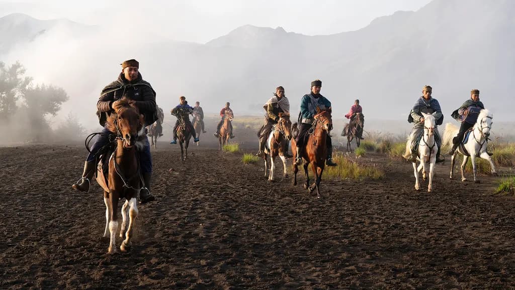 Cowboys in the Mist
