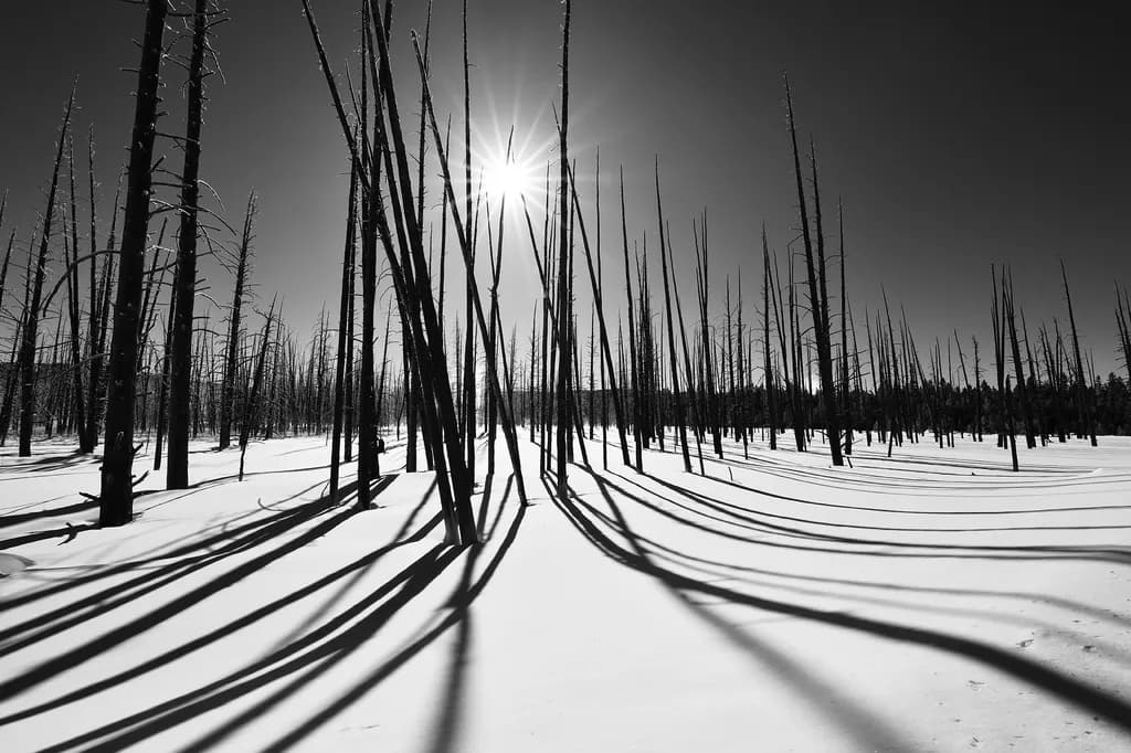 Shadowlands Unveiled