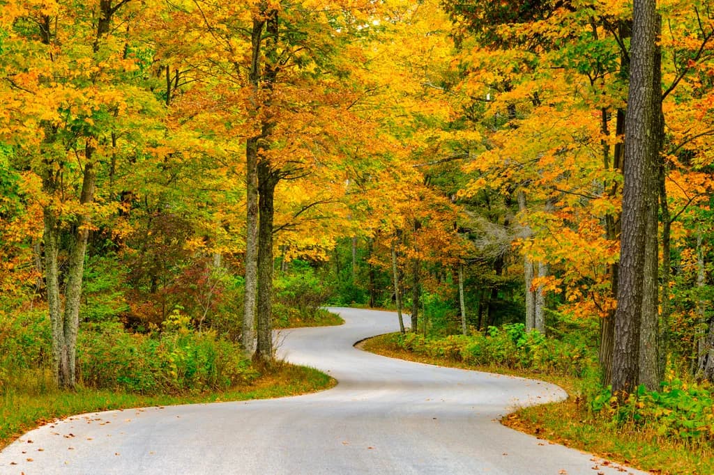 Cave Point Autumn Road
