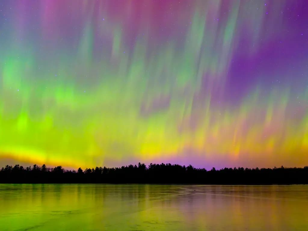 Northern Lights Forest Reflection