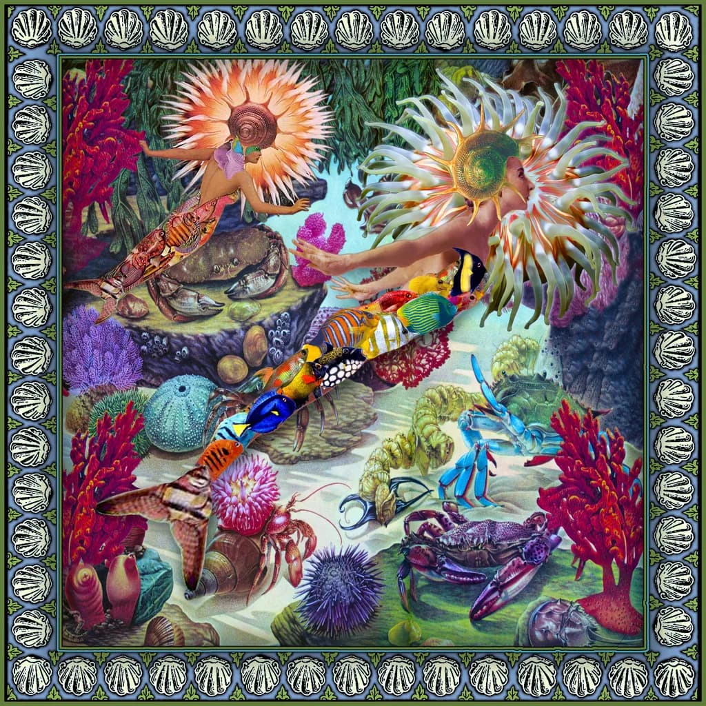 Amphitrite's Garden