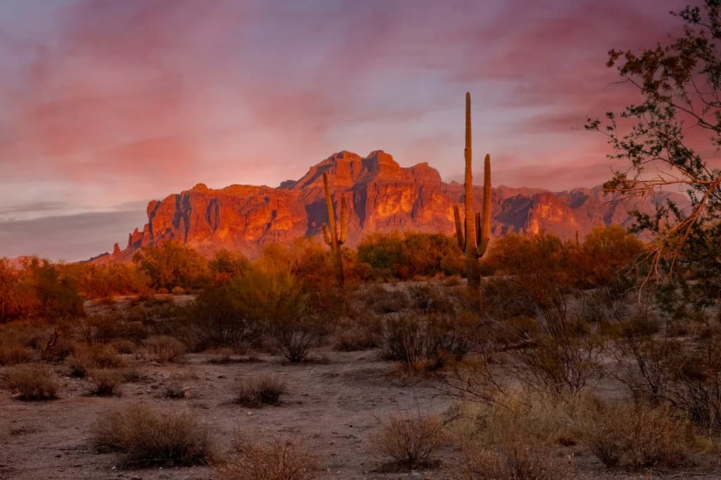 Desert Sunset