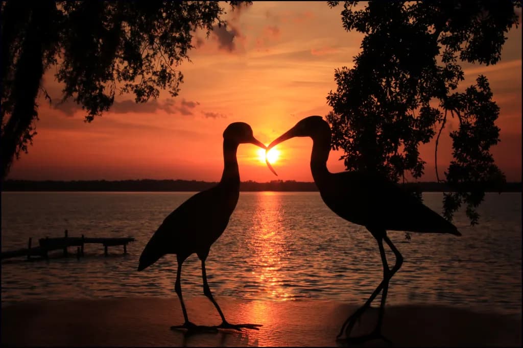 Love is in the Air