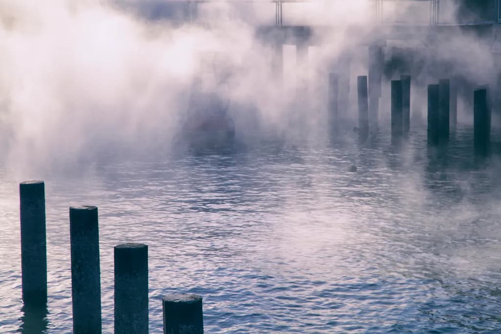 Whispers of the Water: A Misty Morning Reflection