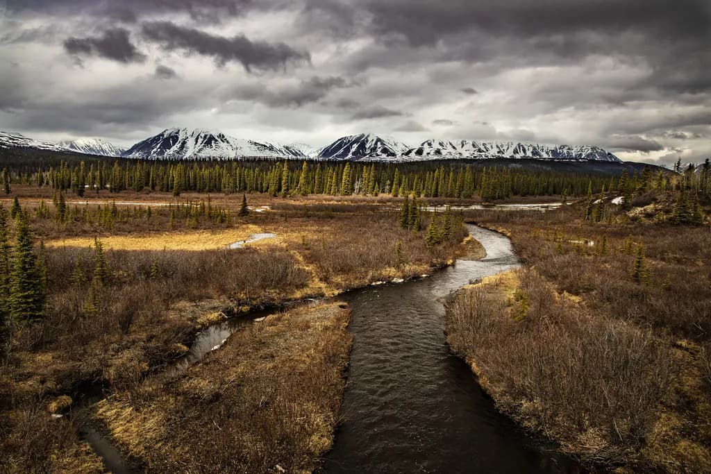 Whispers of the Wilderness: A Serene River Journey Through Majestic Mountains
