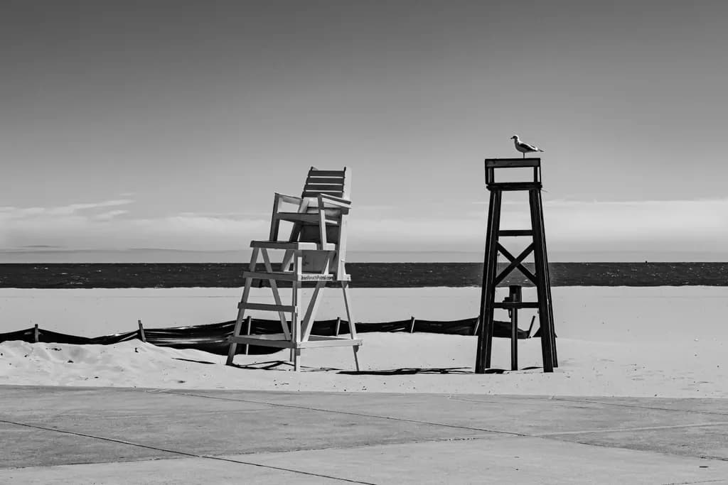 Monochrome Observation