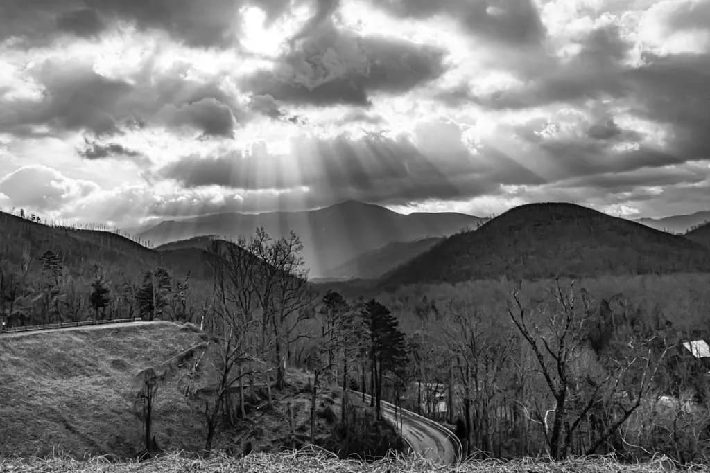 Mountain Morning