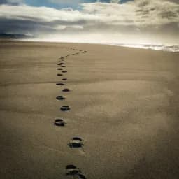 Solitary Shoreline Footprints