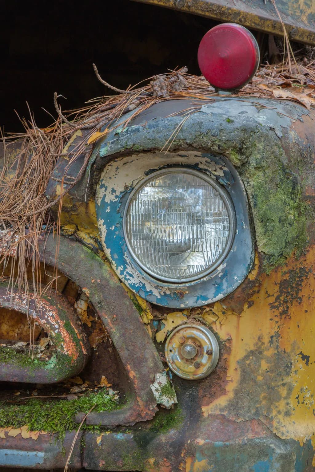 Rusting Vehicle Details