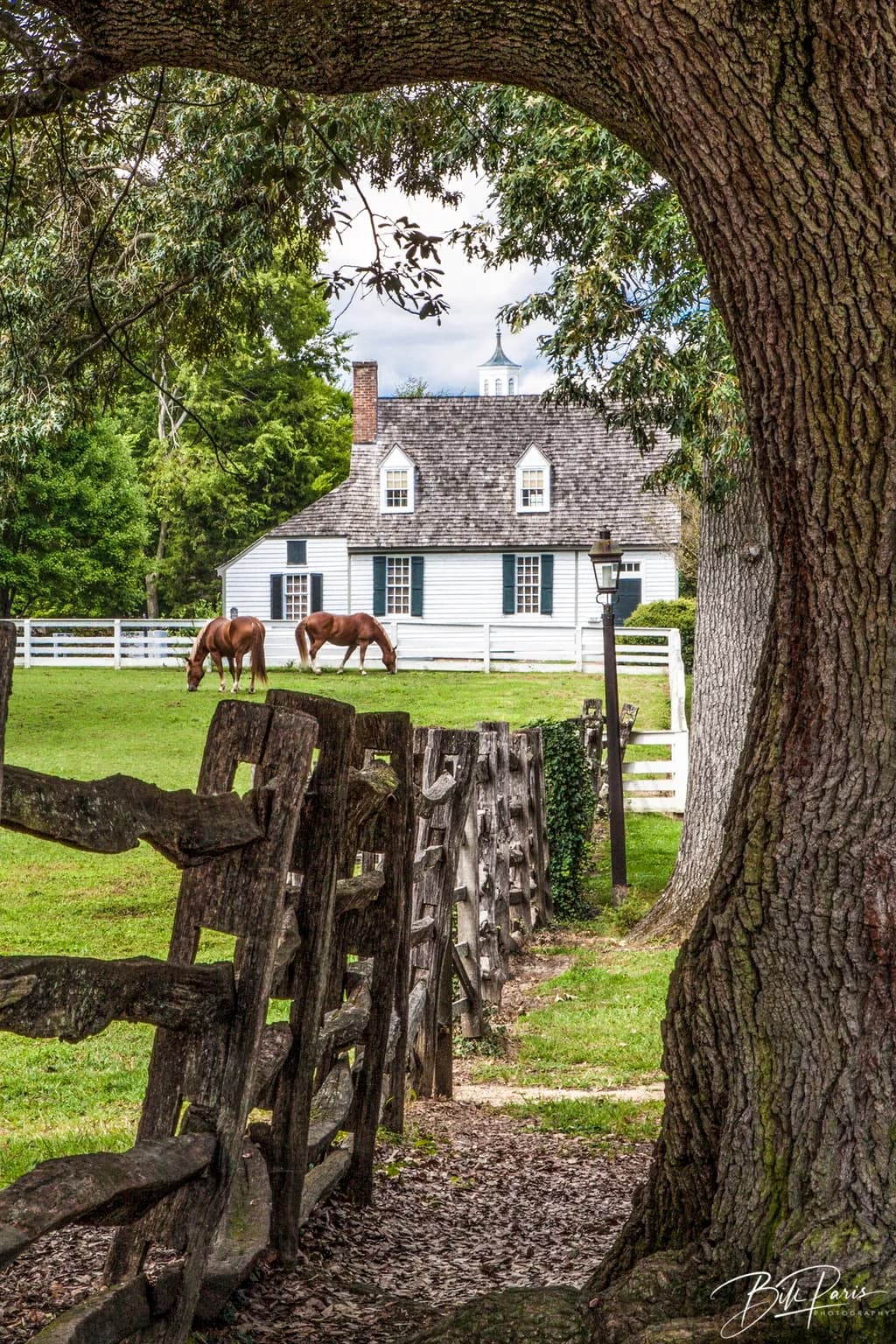 Williamsburg Homestead