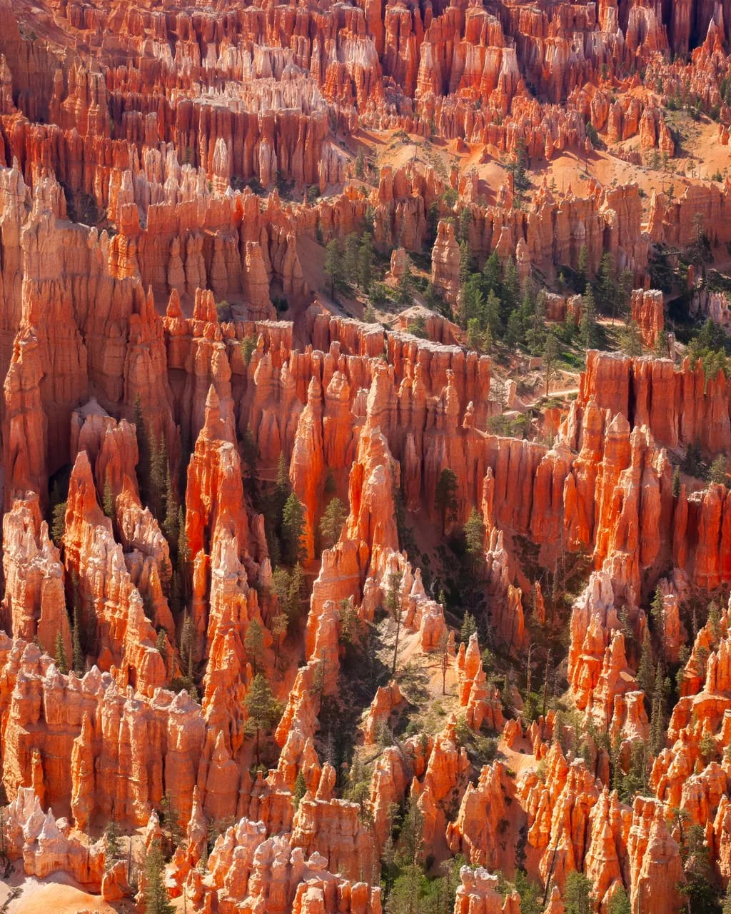 Bryce Canyon Tapestry