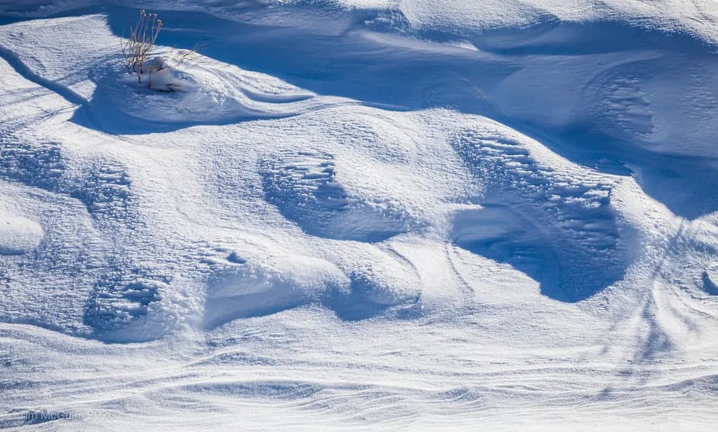 Winter Drifts