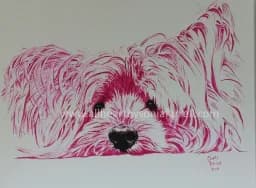 Furry Pink Whiskers