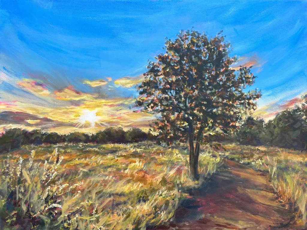 Texas Light & Love