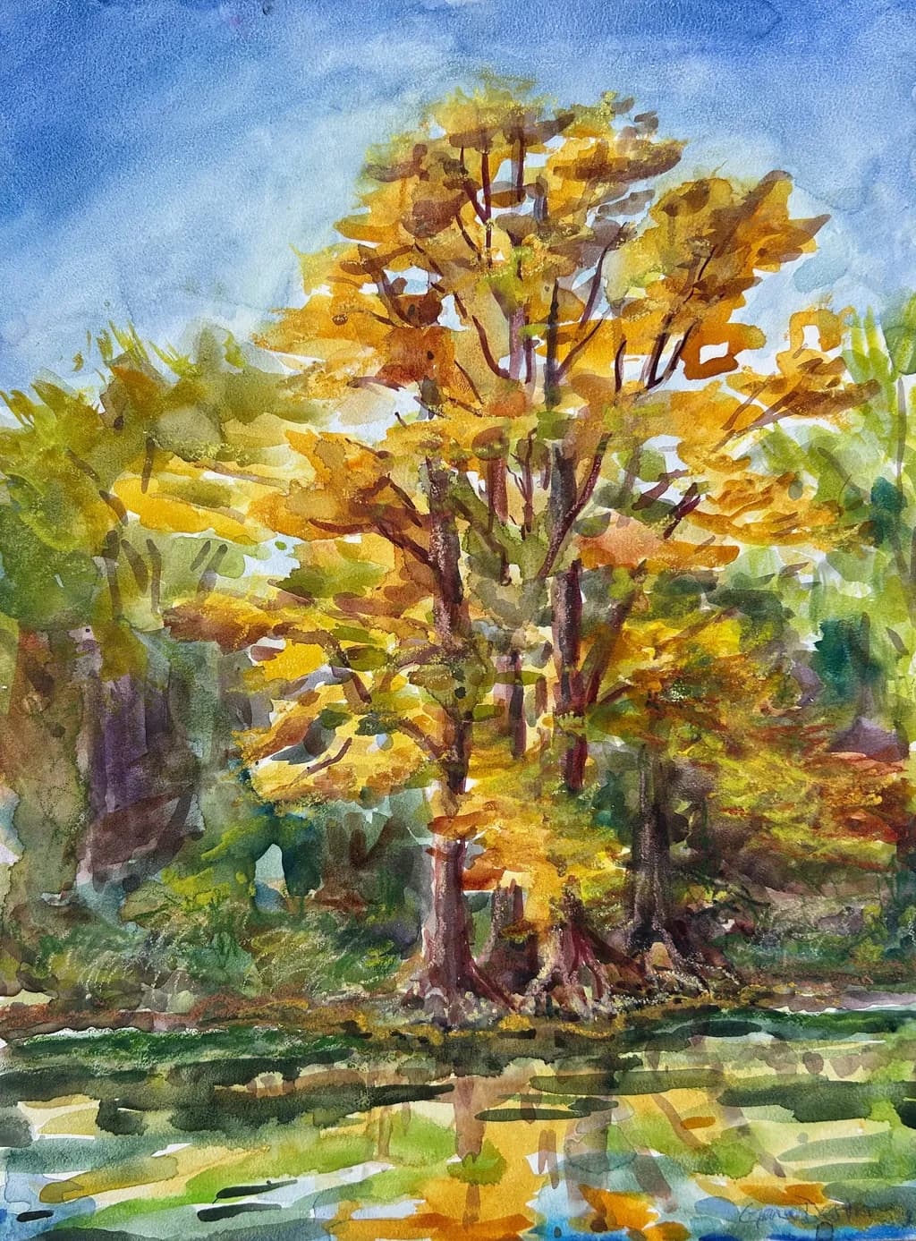 The Cypress Knows it’s Fall