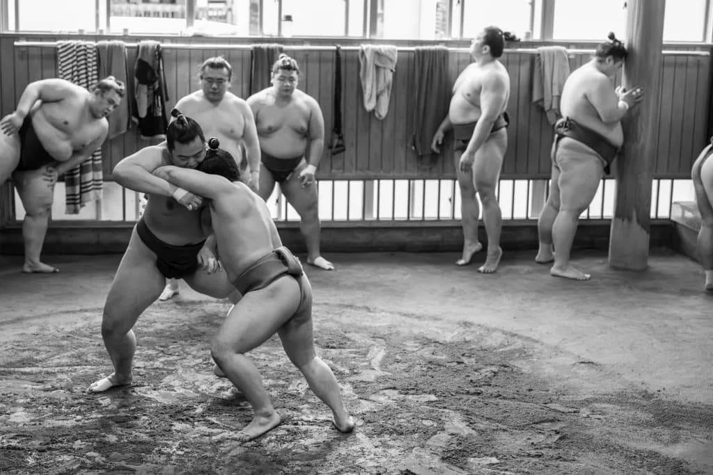 Sumo Training
