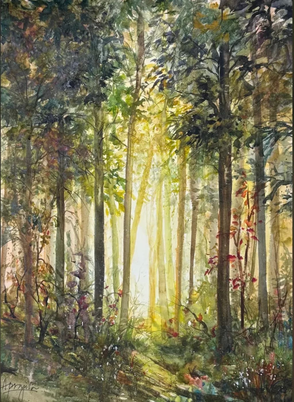 Sukoon in the Forest