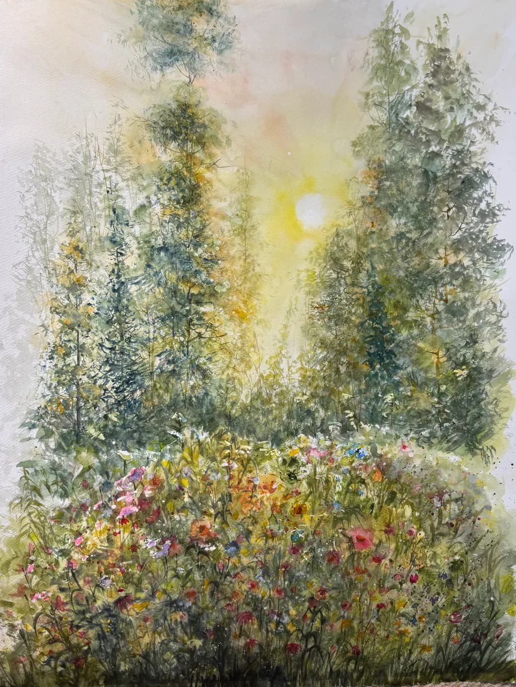 Morning Meadow Glow