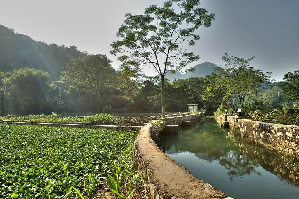 Tranquil Waterscape
