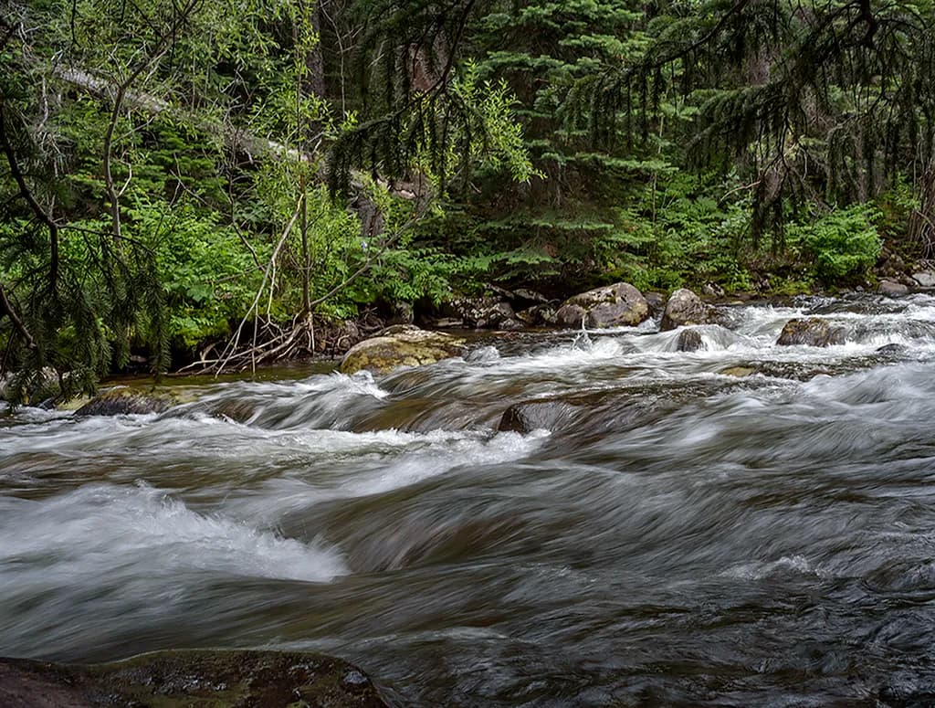 Gentle River Flow