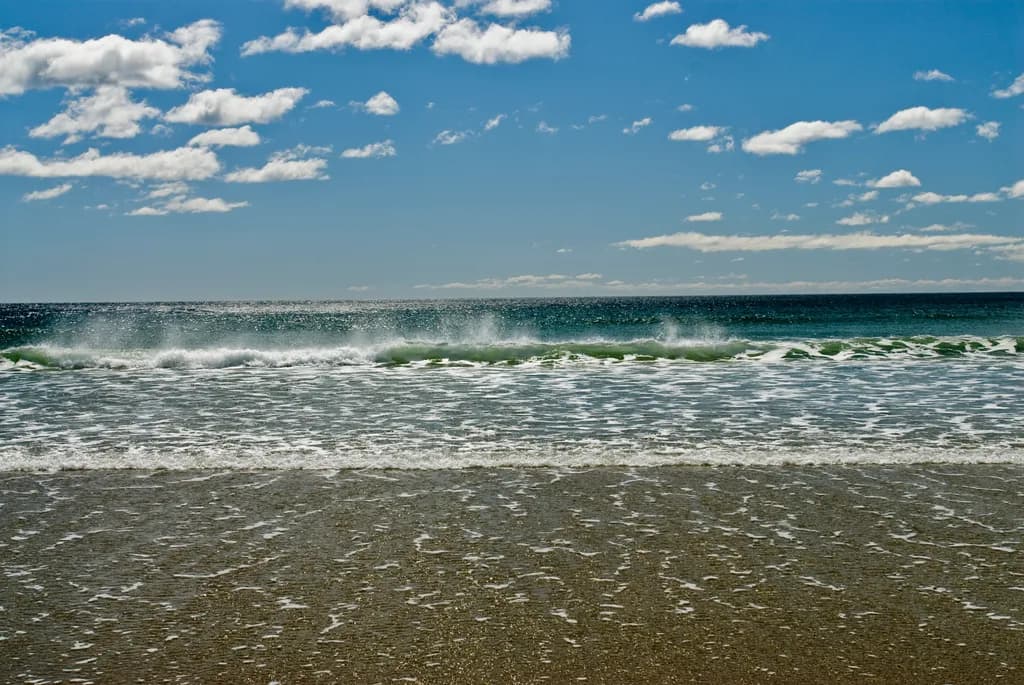 Ocean Waves