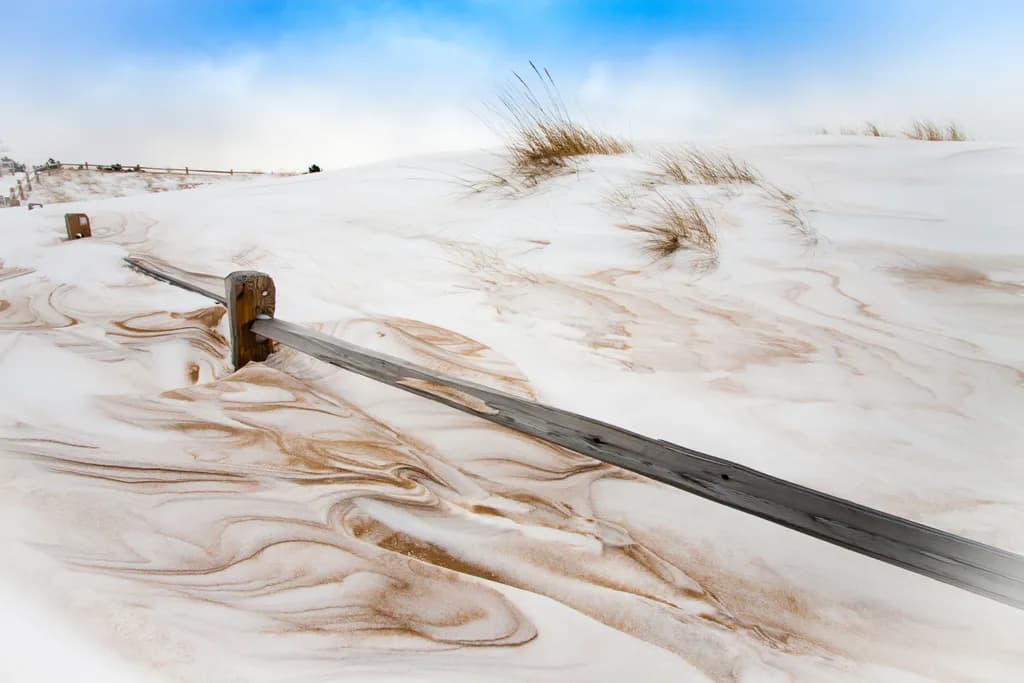 “Through the Winter Dunes"