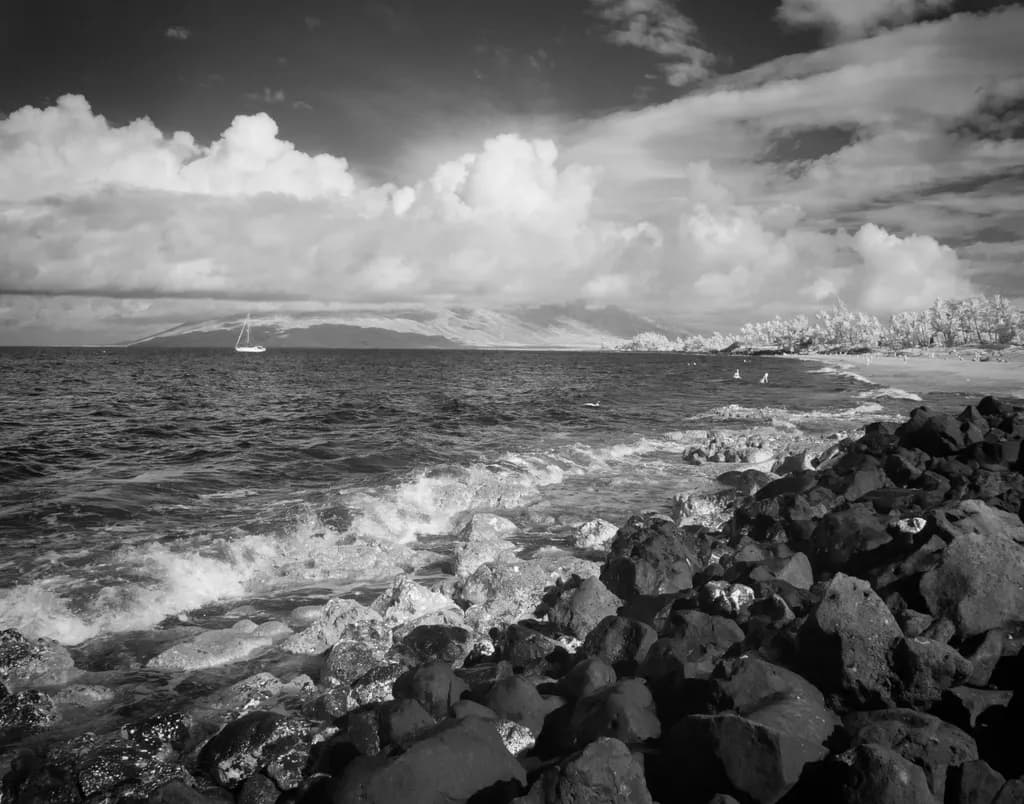 Lava Rocks Serenity