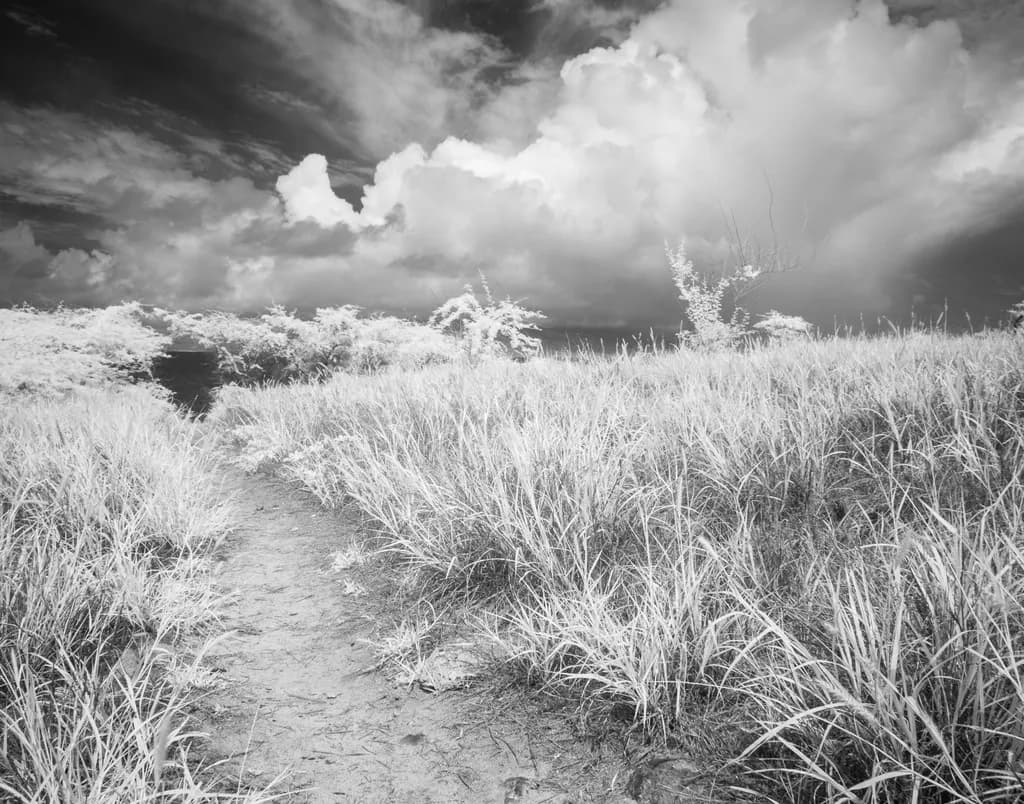 Maui Clouds