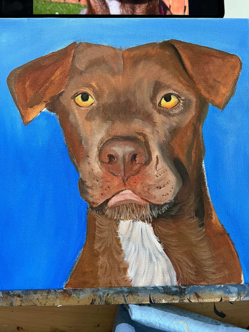 Majestic Gaze: A Portrait of Loyalty and Love