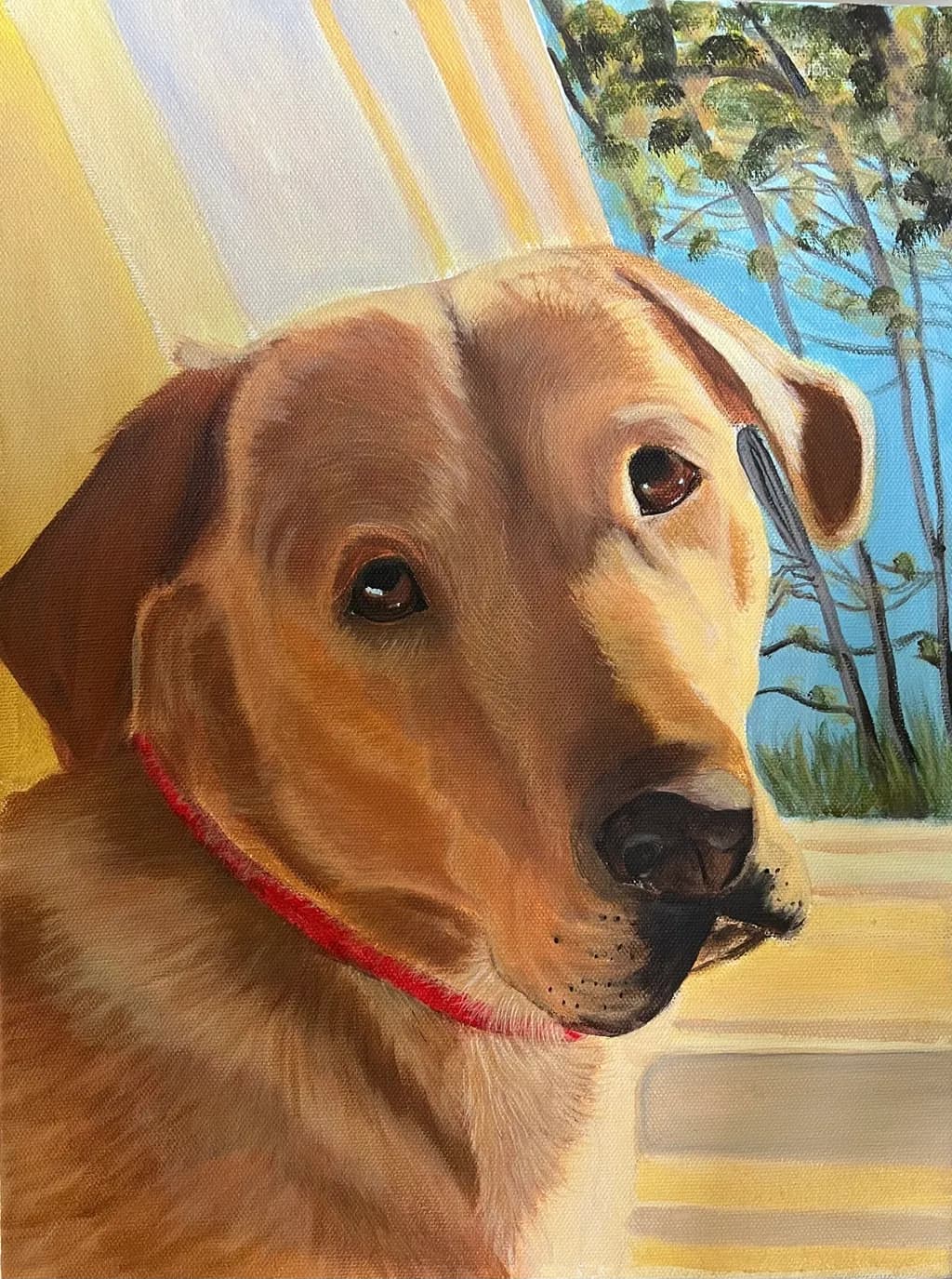 Golden Canine Gaze: A Heartfelt Portrait of Loyalty and Love